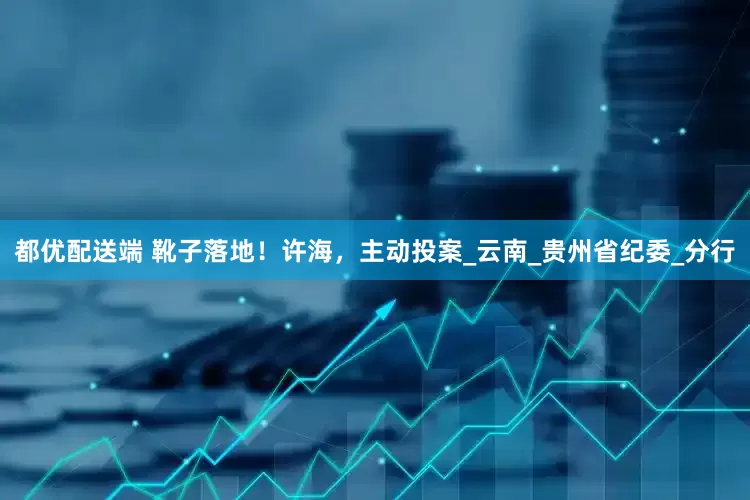 都优配送端 靴子落地！许海，主动投案_云南_贵州省纪委_分行