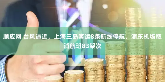 顺应网 台风逼近，上海三岛客运8条航线停航，浦东机场取消航班83架次