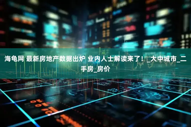 海龟网 最新房地产数据出炉 业内人士解读来了！_大中城市_二手房_房价